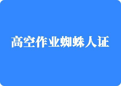 操肥B洞高空作业蜘蛛人证